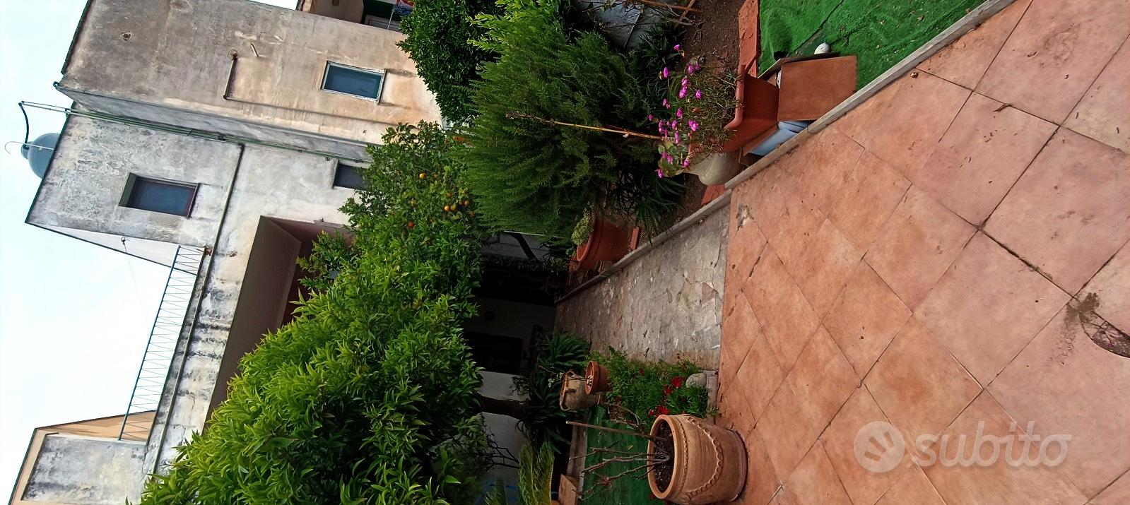 Appartamento – Trapani - Vista 2