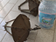 Immagine 6