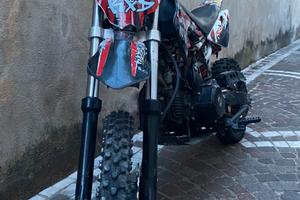 Kxd pit bike 300