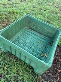 Bins plastica rigida