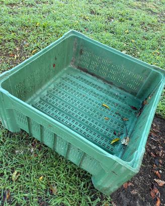 Bins plastica rigida