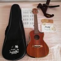 ukulele concerto 23 pollici