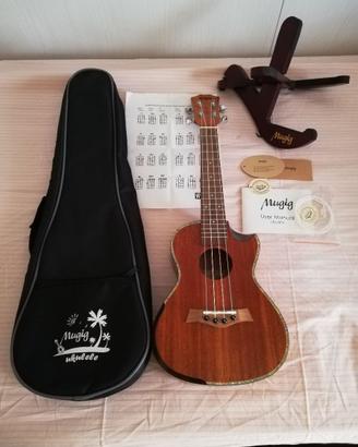 ukulele concerto 23 pollici