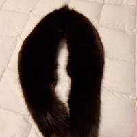 Collo di pelliccia