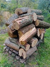 Legna di acacia 