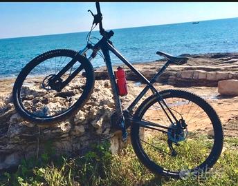 Mountain-bike 29