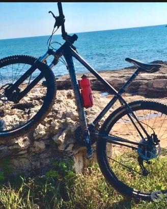 Mountain-bike 29