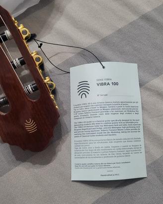 Eko Vibra 100