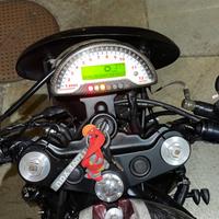 TRIUMPH SPEED TRIPLE 955i