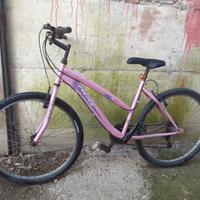 bicicletta colore rosa
