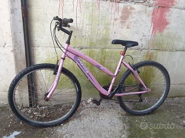 bicicletta colore rosa
