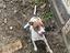Immagine 2