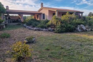 Tenuta agricola, Villa, Casa rurale