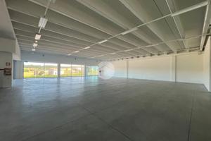 NEGOZIO A LONATO DEL GARDA