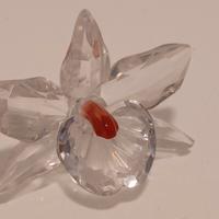 SWAROVSKI ORCHIDEA ROSA