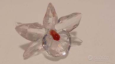 SWAROVSKI ORCHIDEA ROSA