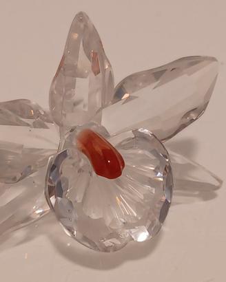SWAROVSKI ORCHIDEA ROSA