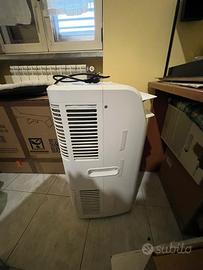 Pinguino condizionatore