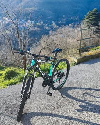  Bicicletta Olmo Turchino X29 Mountain Bike