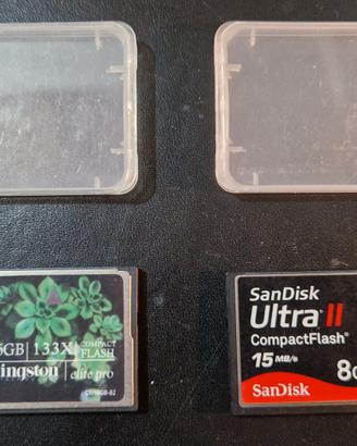 2 Schede CompactFlash CF 16 + 8 GB
