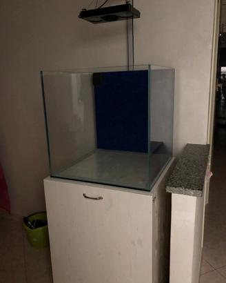 Vasca acquario marino