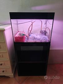 Acquario Askoll Pure L 68 litri con Mobiletto