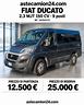 fiat-ducato-9-posti-pulmino