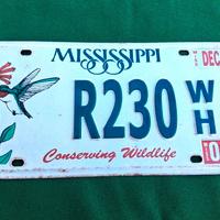 Targa vintage americana Stato del Missisippi 2004