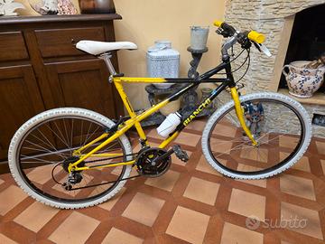 Bianchi Thomisus  Ragno 