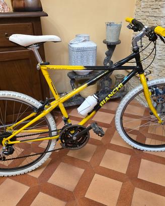 Bianchi Thomisus  Ragno 