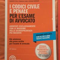 Codici civile e penale