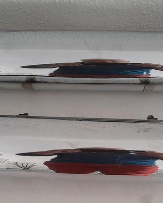 Scarichi HD + Borse +caschi Momo - Martini Royale.