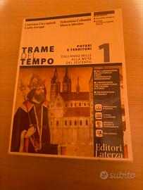 Libro di storia