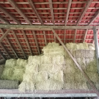 Ballette di fieno maggengo e secondo