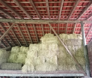 Ballette di fieno maggengo e secondo