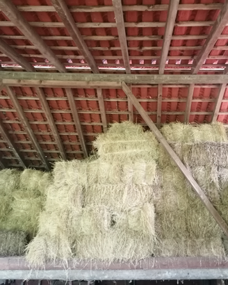 Ballette di fieno maggengo e secondo