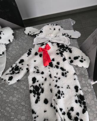 Costumi Dalmata (2 Tipi di Taglie)
