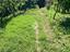 Immagine 26