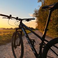 Mtb 29 Sunn