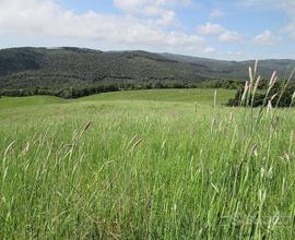 Terreno agricolo