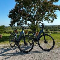 Coppia bici elettriche e-bike Brera Uptime