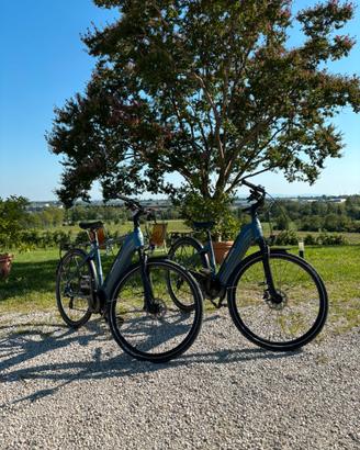 Coppia bici elettriche e-bike Brera Uptime