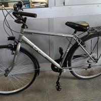 bicicletta da uomo