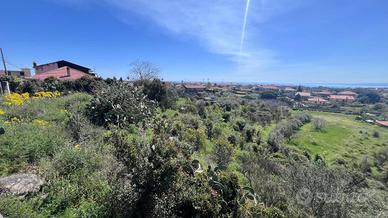 Agricolo a Tremestieri Etneo