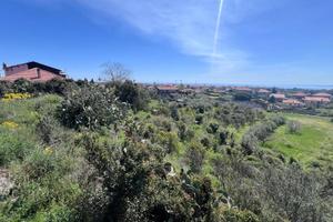 Agricolo a Tremestieri Etneo