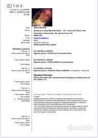 Segretaria pomeridiana o ragioniera da remoto