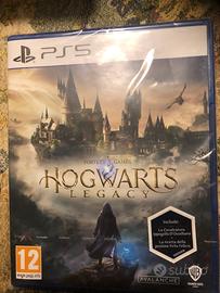 Hogwarts Legacy PlayStation 5