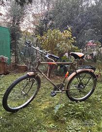 Peugeot MTB Crazy horse