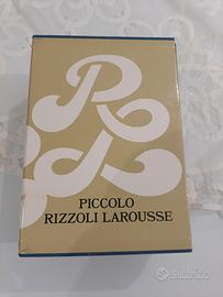 dizionario 