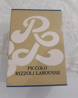 dizionario 